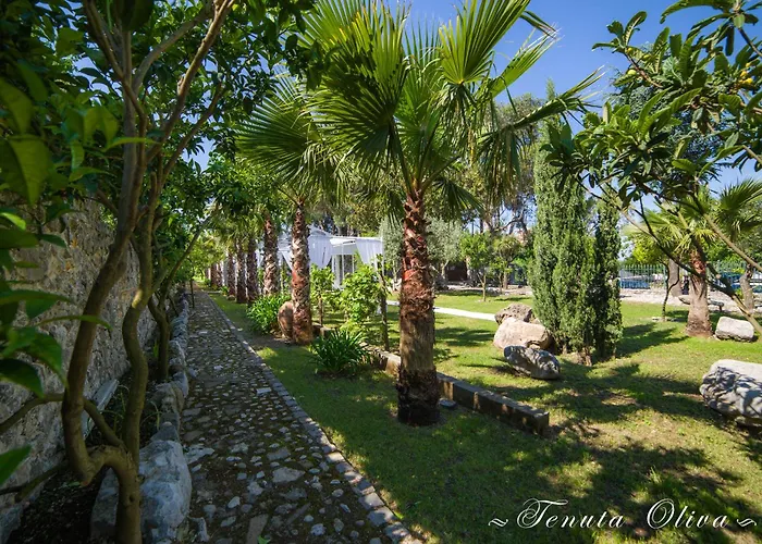 Tenuta Oliva